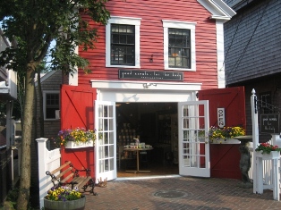 Toronto Photographer