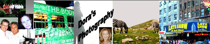 Toronto Photographer